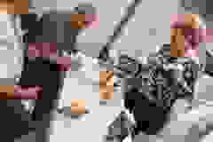 454903987_898072042353758_4878985172646919408_n