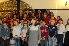 Picture-035