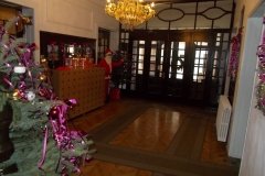DSCN0768