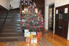 Picture-003