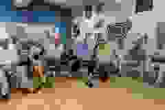 452533182_884074503753512_7421947408619097894_n